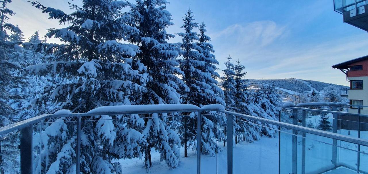 Apartman Nerudovka D 104, Finska Sauna, Garazove Stani Loučná pod Klínovcem エクステリア 写真