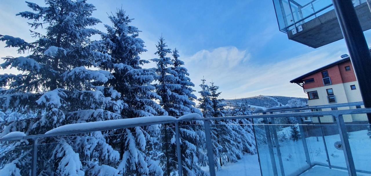 Apartman Nerudovka D 104, Finska Sauna, Garazove Stani Loučná pod Klínovcem エクステリア 写真